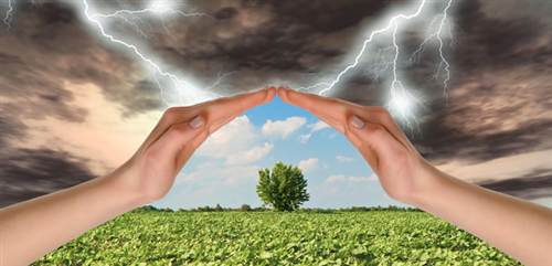 Assicurazione agevolata contro avversità atmosferiche e calamità naturali AUTUNNO - INVERNO 2025.