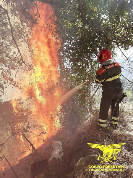 Ordinanza del Sindaco n. 05 del 26/05/2026. Prescrizioni Antincendio anno 2026.